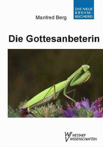 Die Gottesanbeterin [The European Mantis]