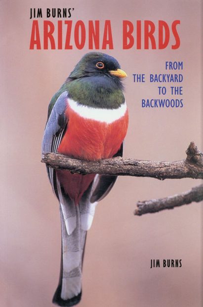 Jim Burns' Arizona Birds