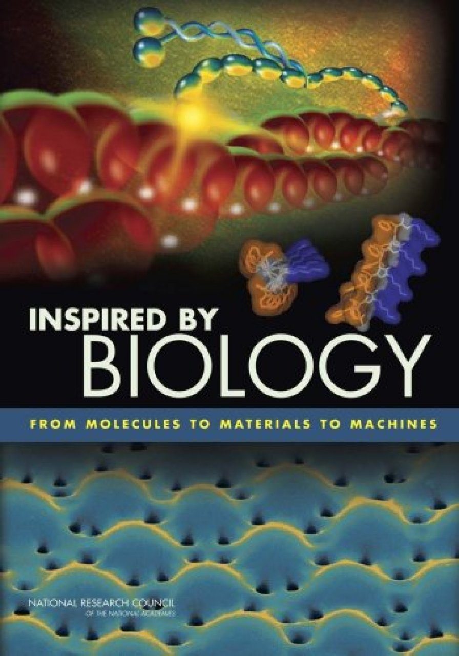Профиль аду бай биология. Inspired книга. Инспаер книга. Biology book Cover. Книга инспирия реальности.