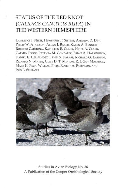 Status of the Red Knot (Calidris canutus rufa) in the Western Hemisphere