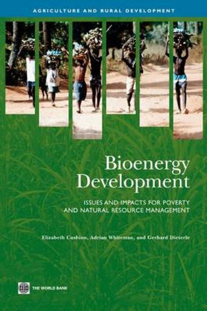 Bioenergy Development