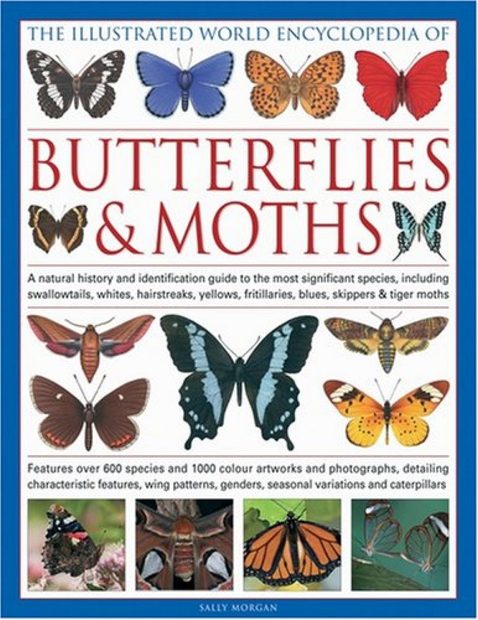 The Illustrated World Encyclopaedia of Butterflies and Moths | NHBS ...