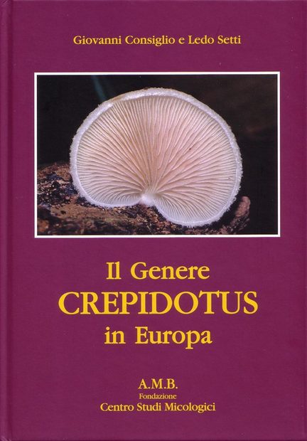 Il Genere Crepidotus in Europa / The Genus Crepidotus in Europe