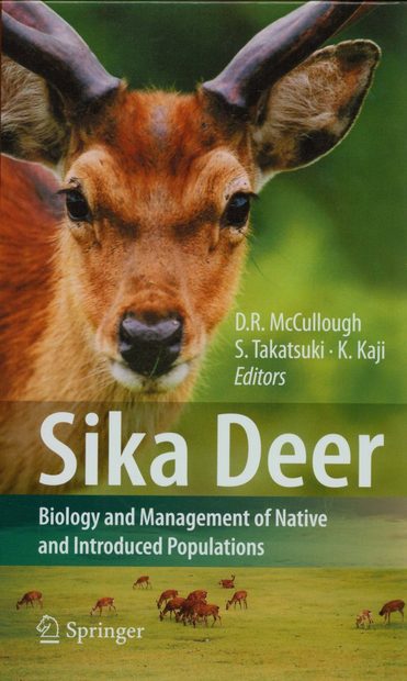 Sika Deer