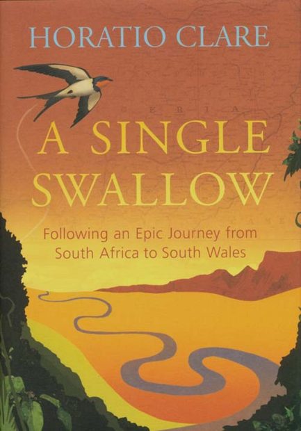 A Single Swallow