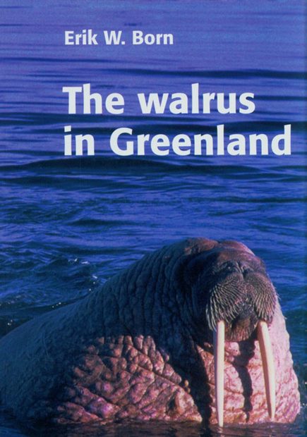 The Walrus in Greenland