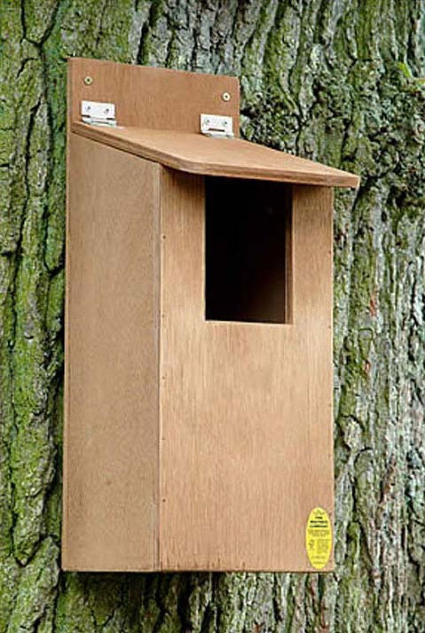 Large Bird Nest Box Nhbs Practical, Wooden Nesting Boxes