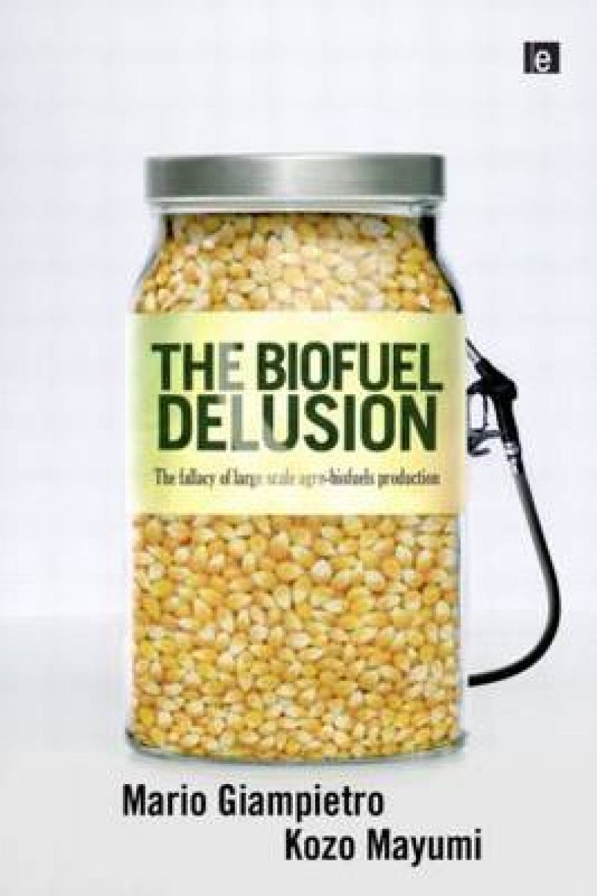 The Biofuel Delusion: The Fallacy Of Large Scale Agro-Biofuels ...