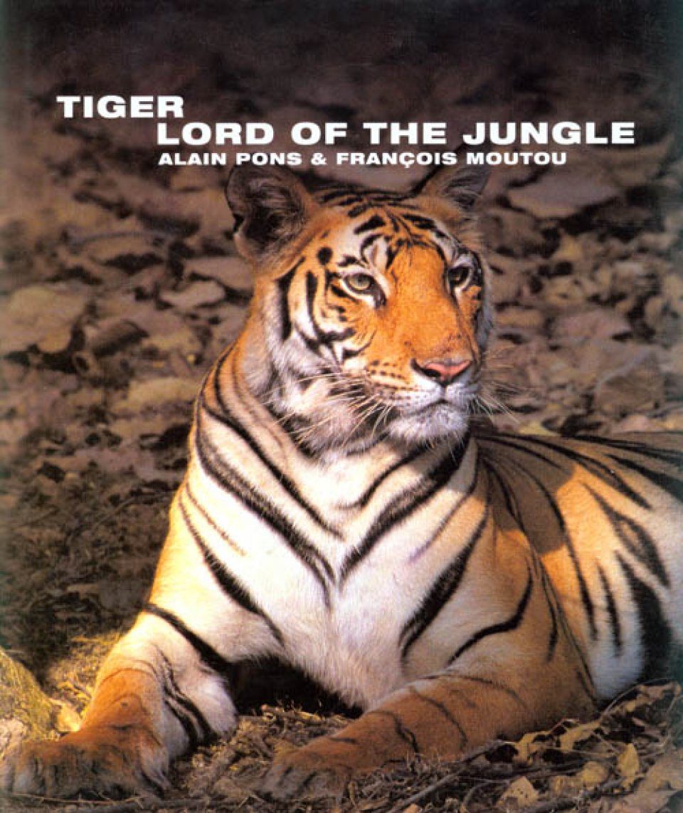 Tiger The Lord Of The Jungle Alain Pons Fran 231 Ois Moutou