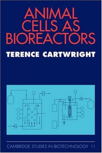 Animal Cells as Bioreactors