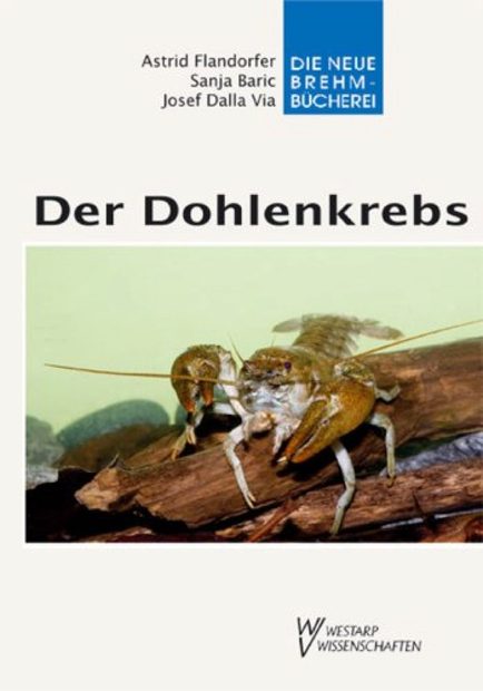 Der Dohlenkrebs [The White-clawed Crayfish]