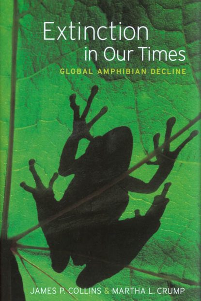 Extinction in Our Times