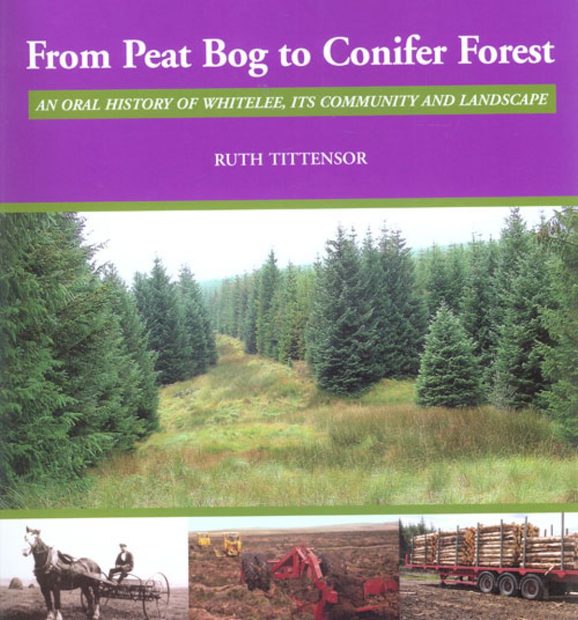 From Peat Bog to Conifer Forest