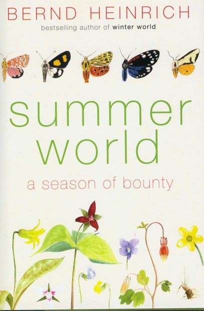 Summer World