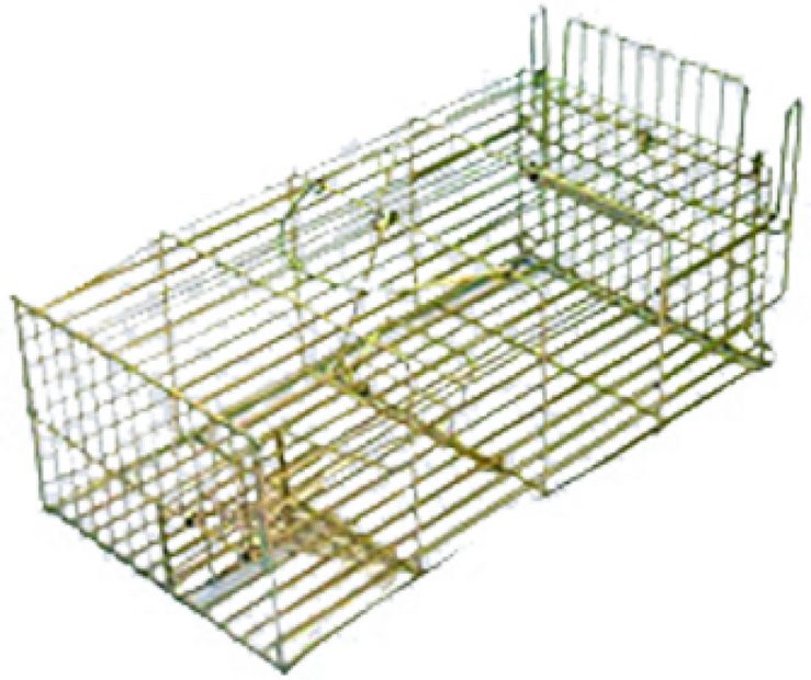 Large Rat Trap