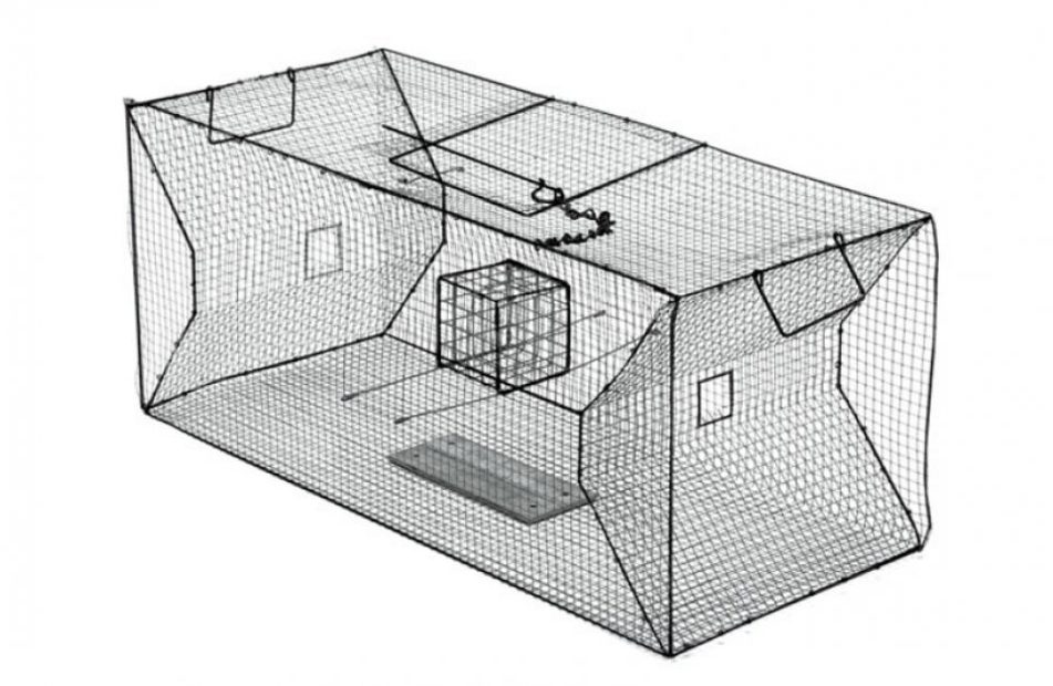 Crayfish/Eel Trap (Pack of 10)