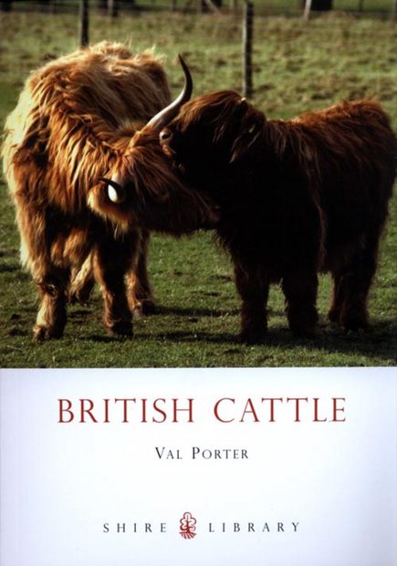 British Cattle