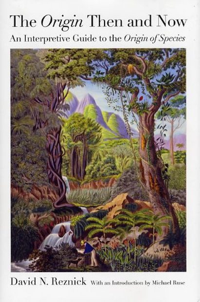 The Origin Then and Now