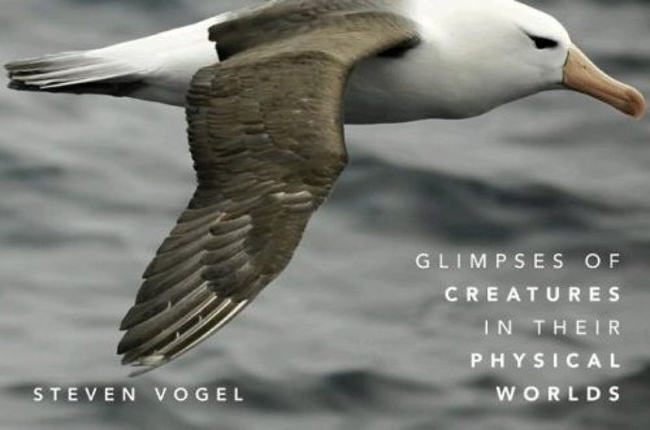 Glimpses of Creatures in their Physical Worlds