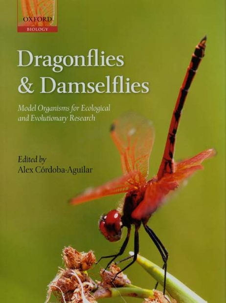 Dragonflies & Damselflies