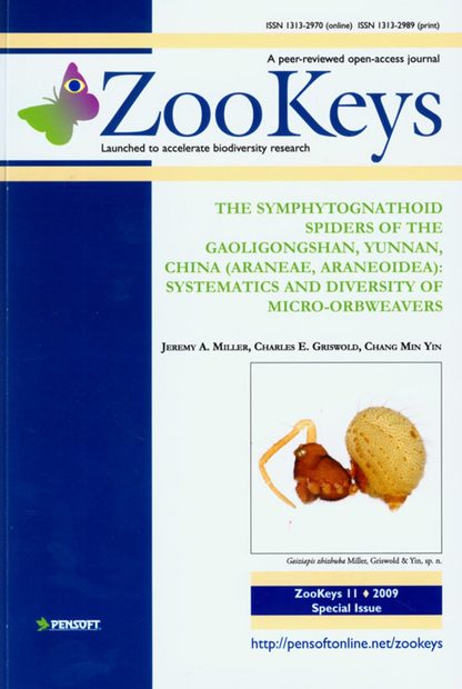 ZooKeys 11: The Symphytognathoid Spiders of the Gaoligongshan, Yunnan, China (Araneae: Araneoidea): Systematics and Diversity of Micro-orbweavers