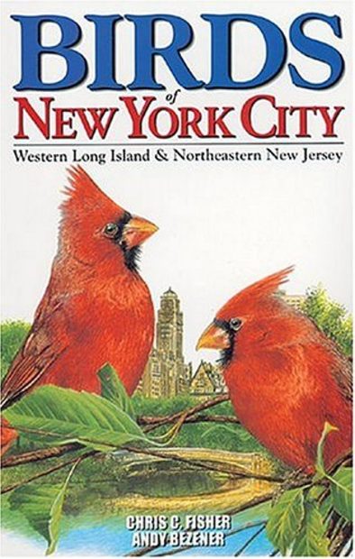 Birds of New York City