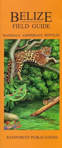 Belize Field Guide: Mammals, Amphibians and Reptiles [English / Spanish]