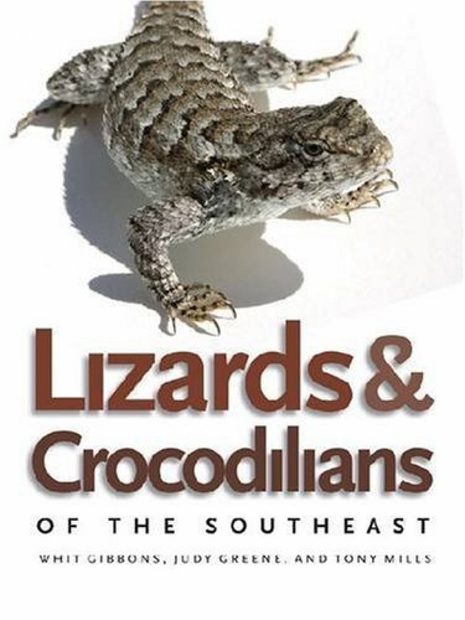 Lizards & Crocodilians of the Southeast