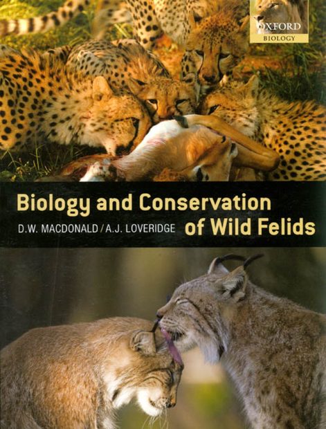 Biology And Conservation Of Wild Felids 