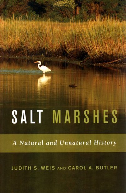 Salt Marshes