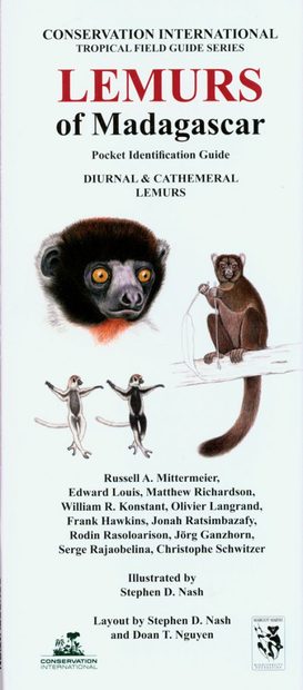 Lemurs of Madagascar: Diurnal and Cathemeral Lemurs