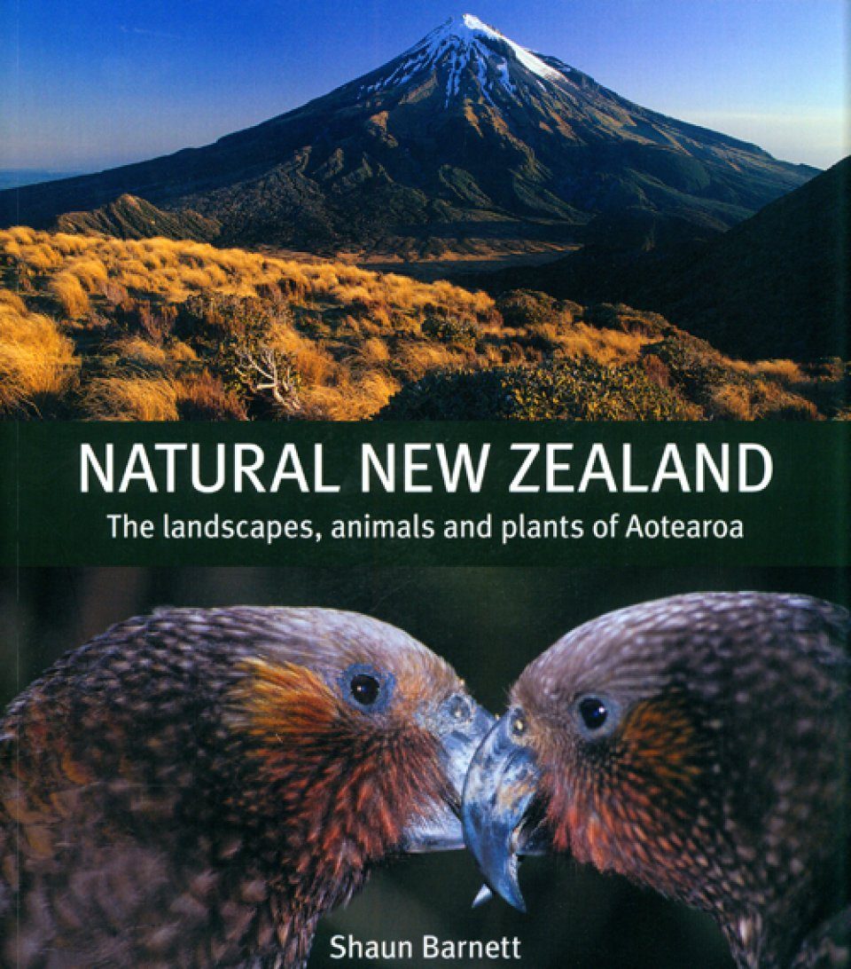 Natural New Zealand: The Landscapes, Animals and Plants of Aotearoa | NHBS  Academic & Professional Books