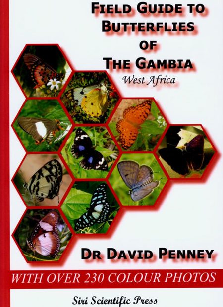 Field Guide to Butterflies of the Gambia, West Africa