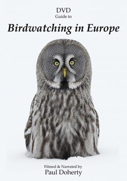 DVD Guide to Birdwatching in Europe (All Regions)