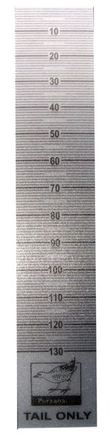 130mm Clear Plastic Bird Tail Rule