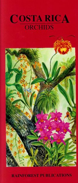 Costa Rica: Orchids [English / Spanish]