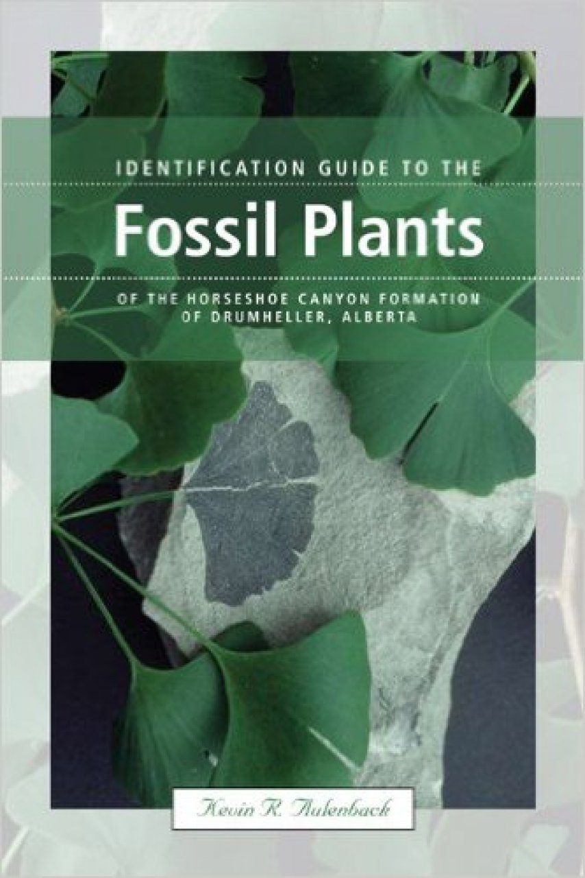 Identification Guide to the Fossil Plants of the Horseshoe Canyon ...