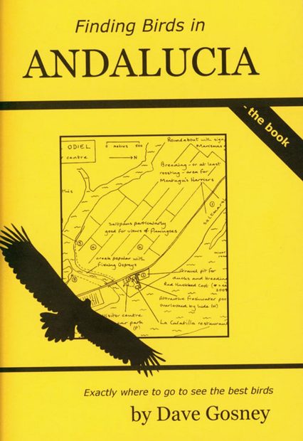 Finding Birds in Andalucia
