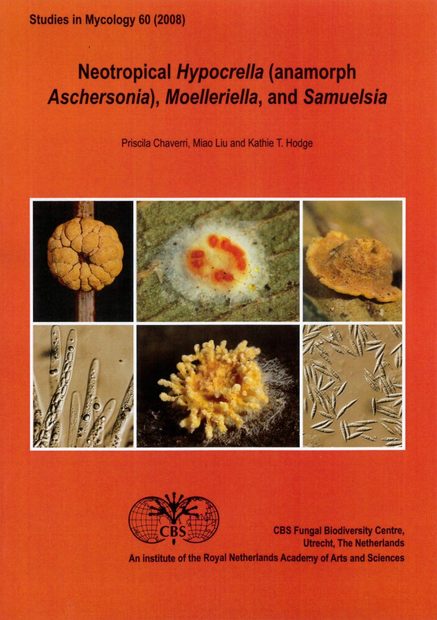 Neotropical Hypocrella (Anamorph Ashersonia), Moelleriella, and Samuelsia