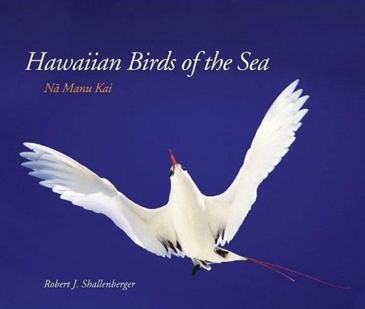 Hawaiian Birds of the Sea