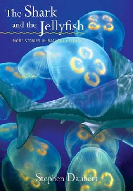 The Shark and the Jellyfish