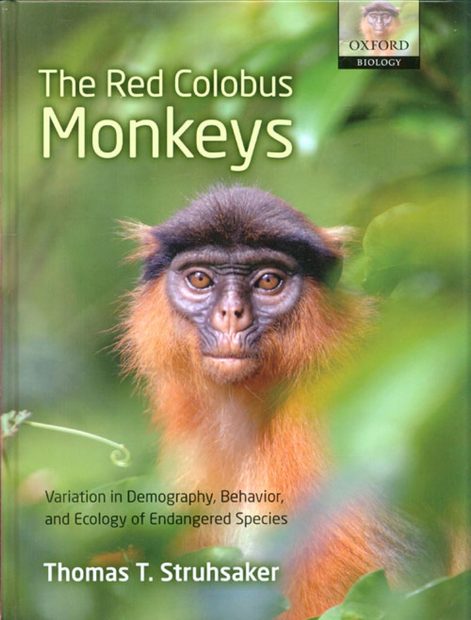 The Red Colobus Monkeys