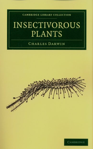 Insectivorous Plants