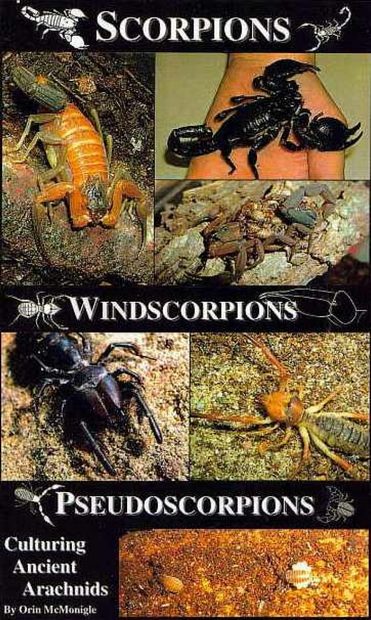 Scorpions, Windscorpions, Pseudoscorpions