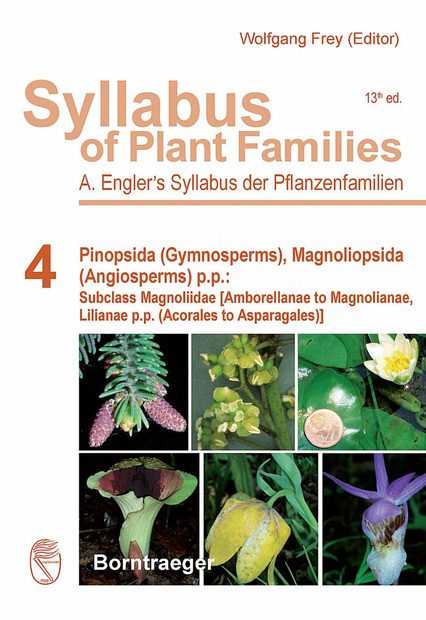 Syllabus of Plant Families, Volume 4: Pinopsida (Gymnosperms), Magnoliopsida (Angiosperms) p.p.