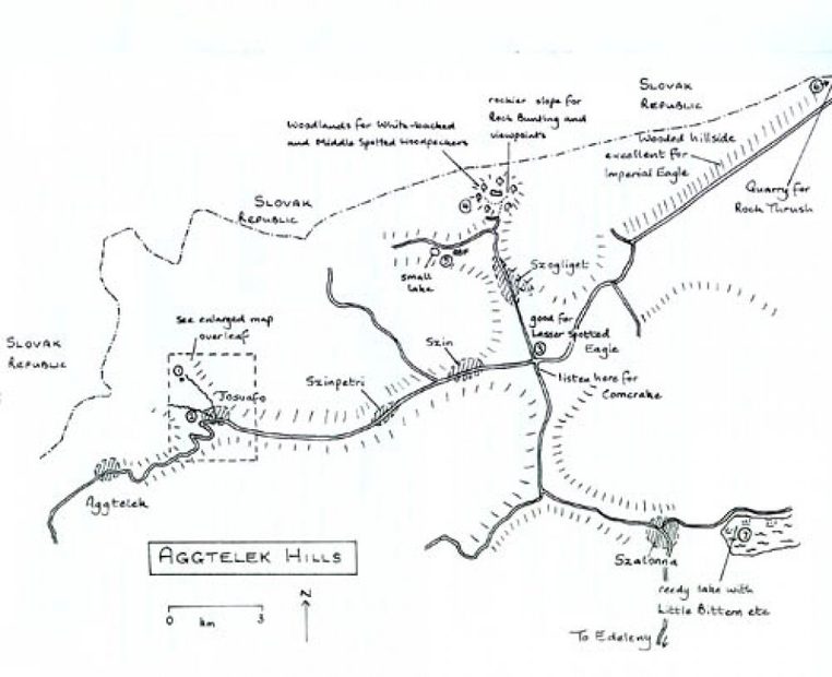 Finding Birds in Hungary