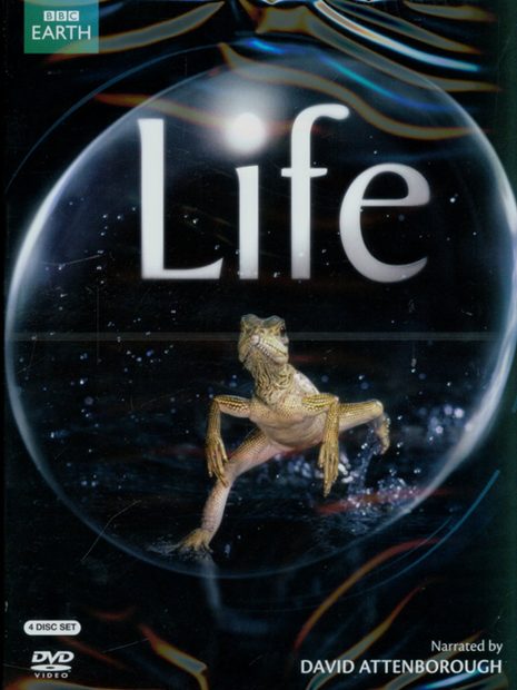 Life (David Attenborough) - DVD (Region 2)