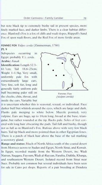 A Field Guide to the Mammals of Egypt