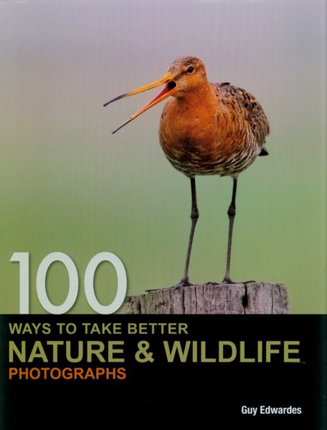 100 Ways to Take Better Nature and Wildlife Photographs