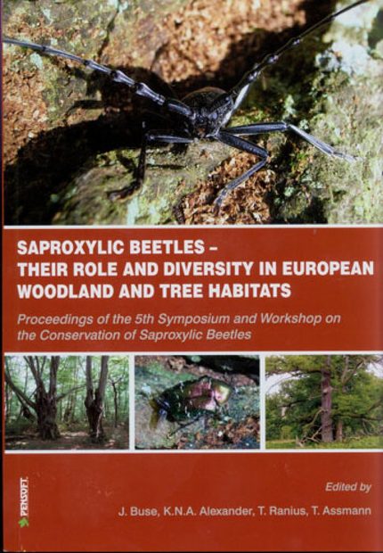 Saproxylic Beetles
